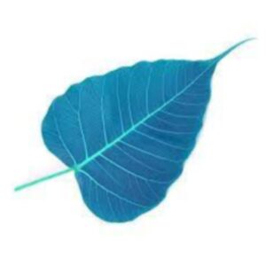 Audio Dharma: Teachings and Practices for Life